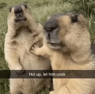 Two small mammals, explaining in the parlance of our 2k24AD that one should let them cook